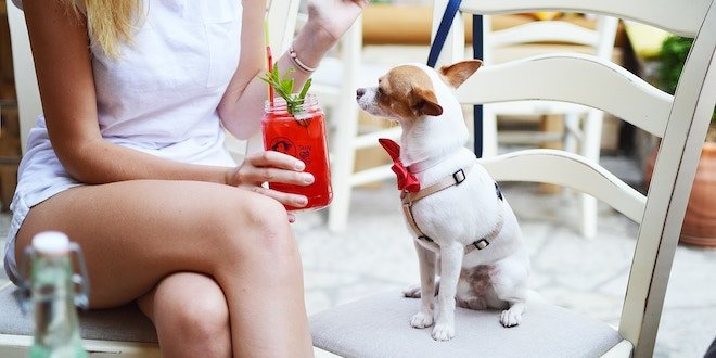 Outdoor Dining & Pet-Friendly Patios Welcome You and Your Furry Friends